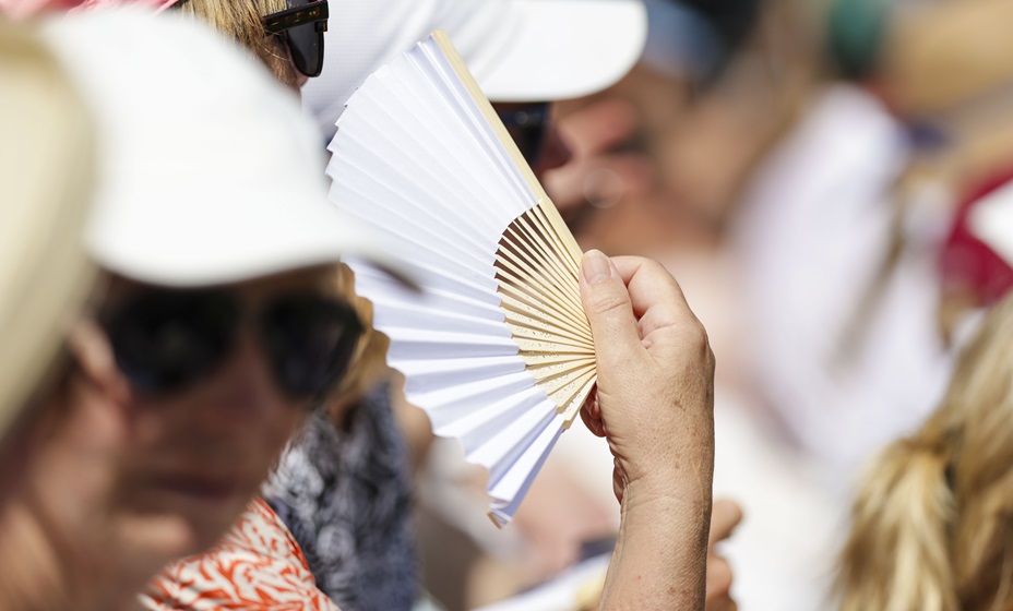 Болельщику стало плохо во время полуфинала Уимблдона между Соболенко и Анисимовой. Фото: Global Look Press