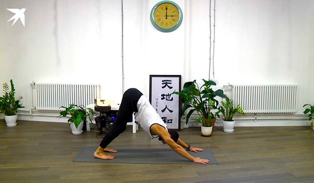 Cурья Намаскар в йоге для начинающих