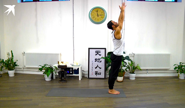 Cурья Намаскар в йоге для начинающих