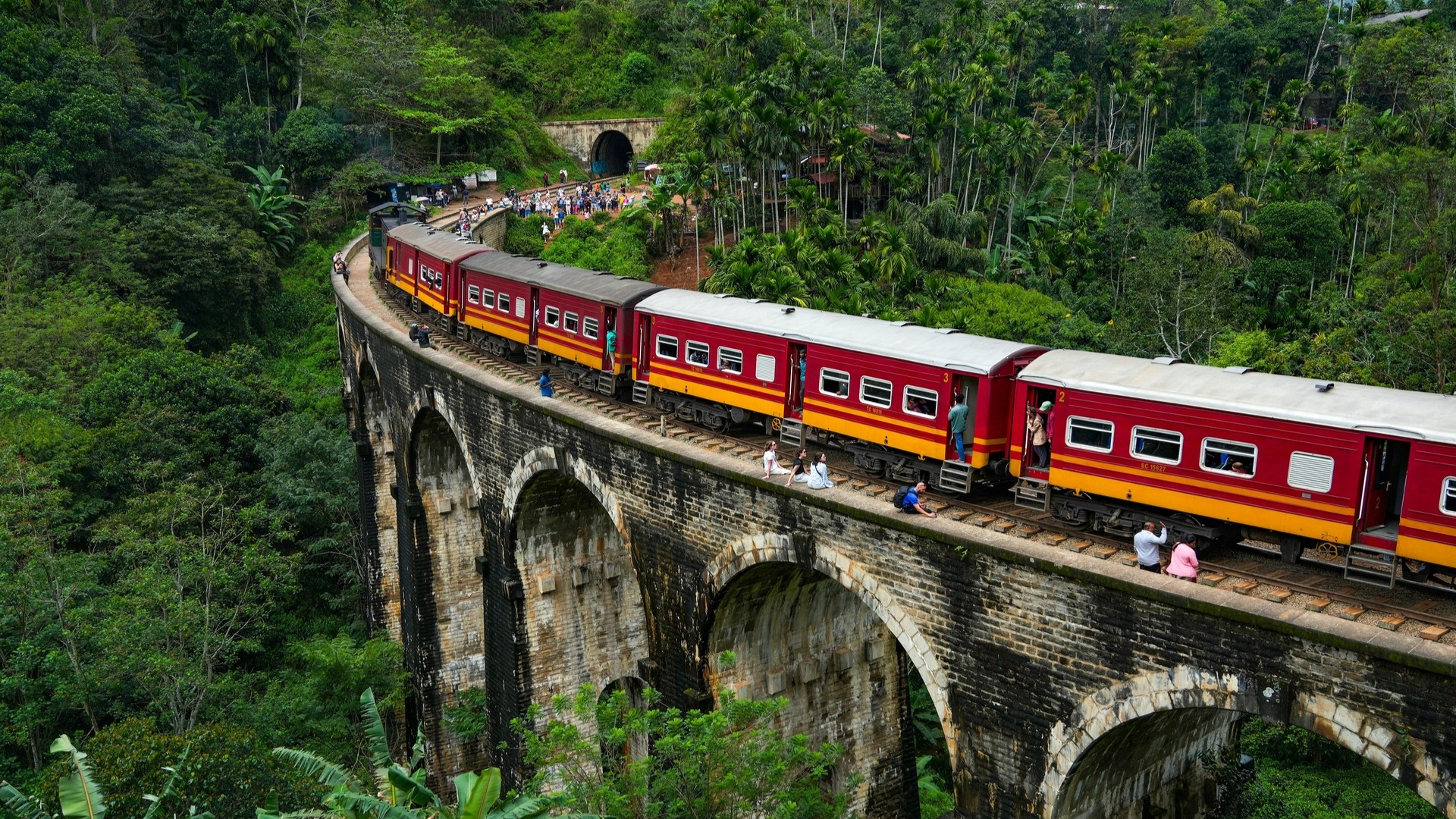 Поезд по Девяти аркам Демодара.