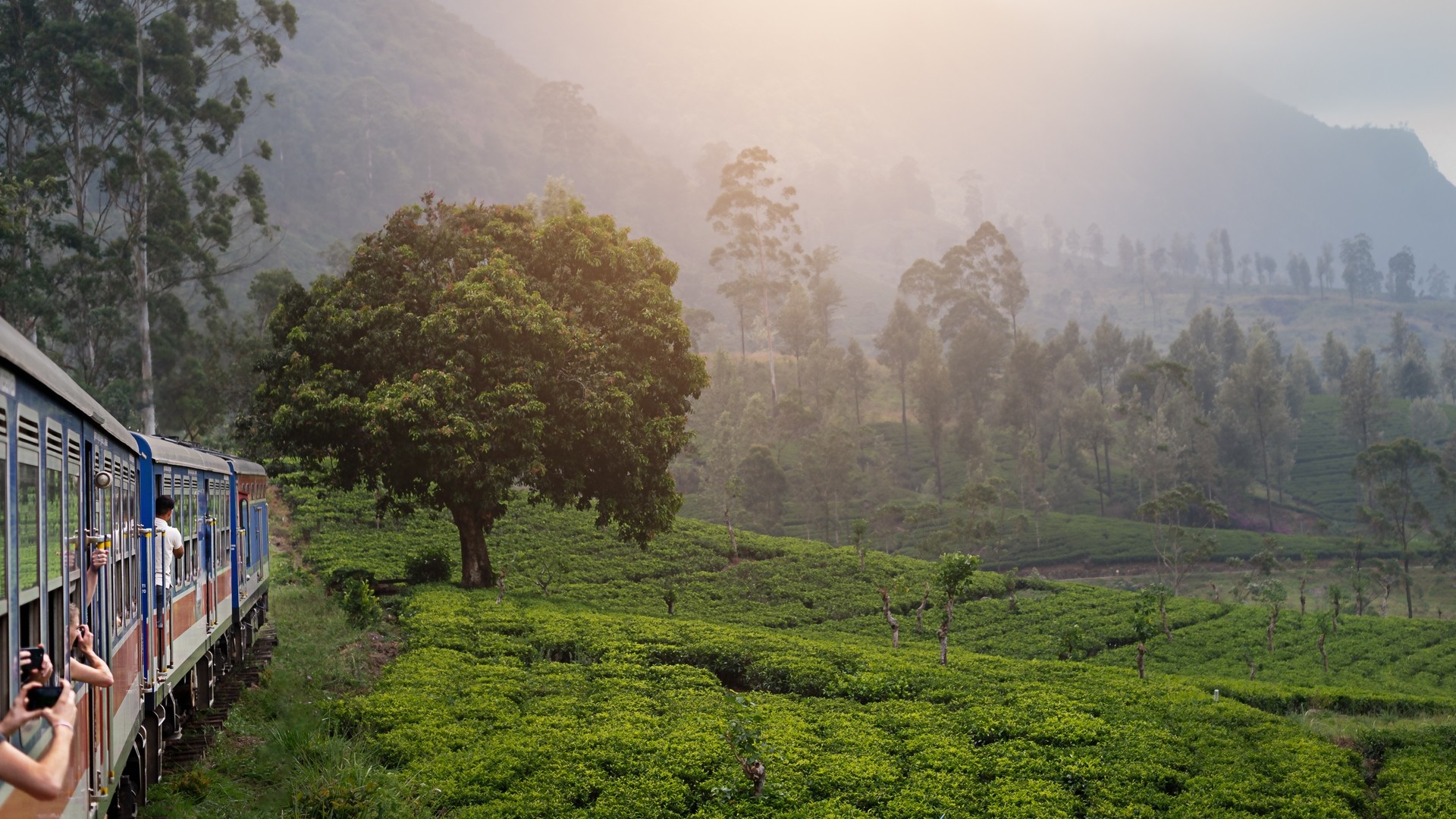 Поезд Канди — Элла, проходящий среди чайных плантаций в высокогорье Шри-Ланки.